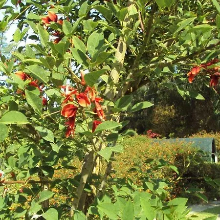 Casa Quinta Do Floral シントラ