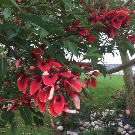 ヴィラ Casa Quinta Do Floral *