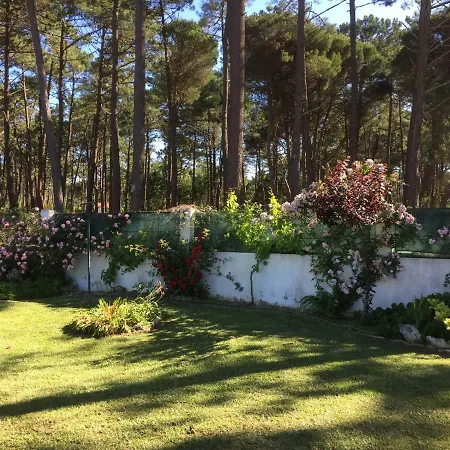 Casa Quinta Do Floral シントラ