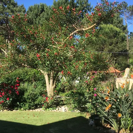 Casa Quinta Do Floral * シントラ