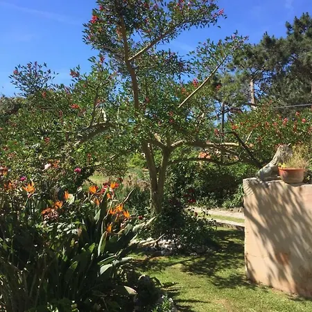 Casa Quinta Do Floral ヴィラ *